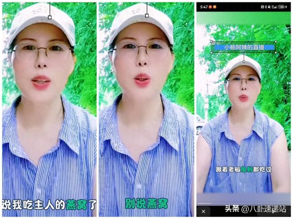 云管家 小杨阿姨直播回应偷吃燕窝事件，语气张狂，早晚为自己的言行买单